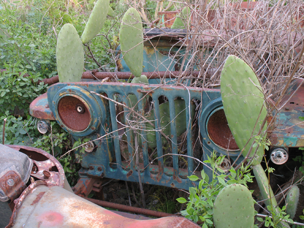 Willys Kakteengarten
